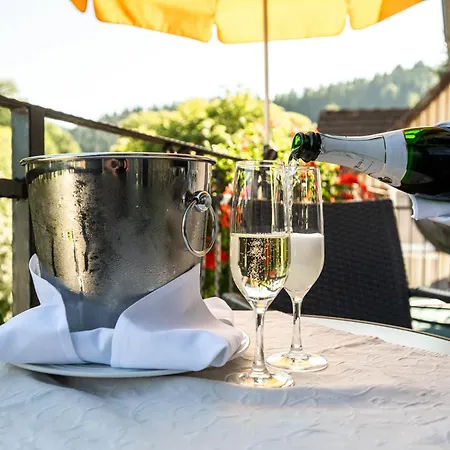 호텔 Ringhotel Sonnenhof