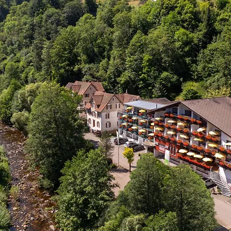 Ringhotel Sonnenhof 4*