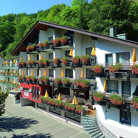 Hotel Ringhotel Sonnenhof 4*