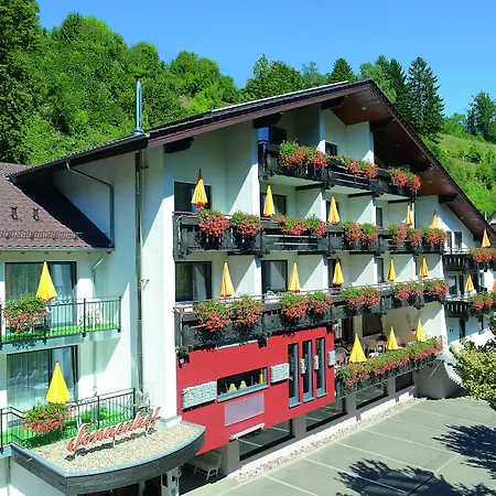 호텔 Ringhotel Sonnenhof
