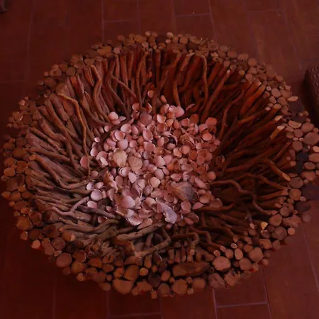 Ringhotel Sonnenhof 4*