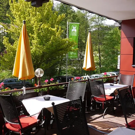 Ringhotel Sonnenhof 호텔 4*