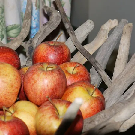 Ringhotel Sonnenhof 호텔 4*