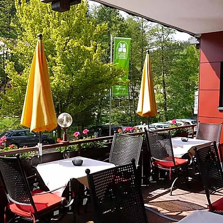 Hotel Ringhotel Sonnenhof