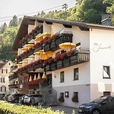 Ringhotel Sonnenhof